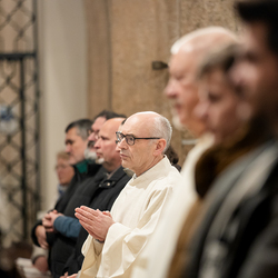 Akolythatsfeier ständige Diakone / Erzdiözese Wien/ Schönlaub