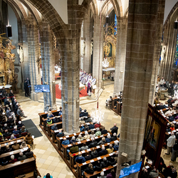 Bischofsprimizmesse Perchtholdsdorf / Erzdiözese Wien/Schönlaub