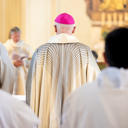 Erzdiözese Wien/Schönlaub, Stephan Schönlaub