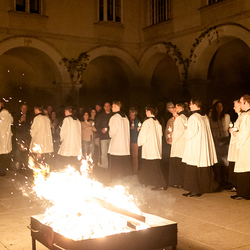 2025 Osternacht / Erzdiözese Wien/Schönlaub