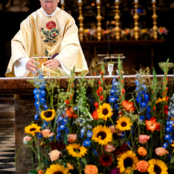Fiacriusmesse 2025 / Erzdiözese Wien/Schönlaub, Stephan Schönlaub