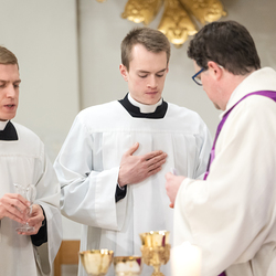 Erzdiözese Wien/ Schönlaub, Stephan Schönlaub