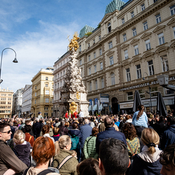 2025 Palmsonntag / Erzdiözese Wien/ Schönlaub, Stephan Schönlaub