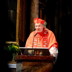 Erzdiözese Wien/ Schönlaub, Stephan Schönlaub