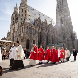 2025 Palmsonntag / Erzdiözese Wien/ Schönlaub, Stephan Schönlaub