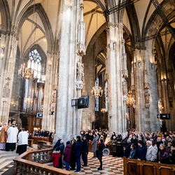 Stephanifest / Erzdiözese Wien/Schönlaub, Stephan Schönlaub