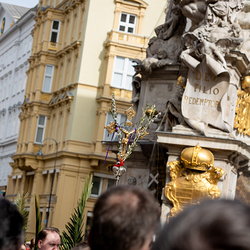 2025 Palmsonntag / Erzdiözese Wien/ Schönlaub, Stephan Schönlaub