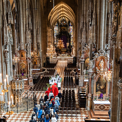 2025 Palmsonntag / Erzdiözese Wien/ Schönlaub, Stephan Schönlaub
