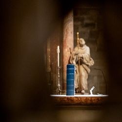Allerseelen Requiem im Stephansdom / Erzdiözese Wien/Schönlaub, Stephan Schönlaub Allerseelen Requiem im Stephansdom